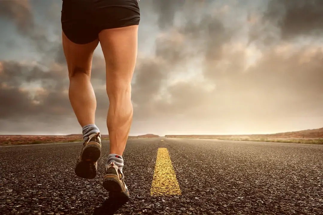 Why AMPK matters: fat oxidation, autophagy, mitochondrial biogenesis: jogging, run, sport, jog, sporty, race, movement, sneakers, away, shoes, running shoes, jogging shoes, endurance, condit