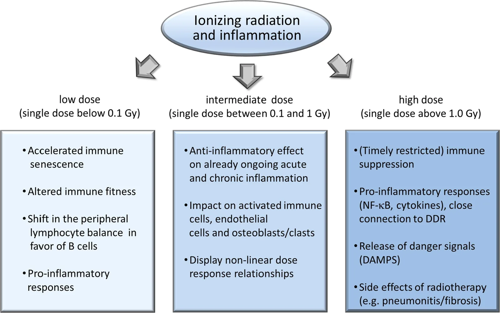 Inflammation and immune: Schematic representation of the most important immune- and inflammation-related processes developing after low, intermed