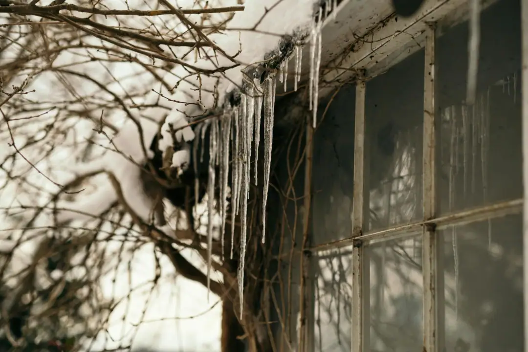 Mechanism: cold shock, brown fat, and norepinephrine: A close-up of icicles and bare branches outside a wintery window, capturing a serene cold ambiance.