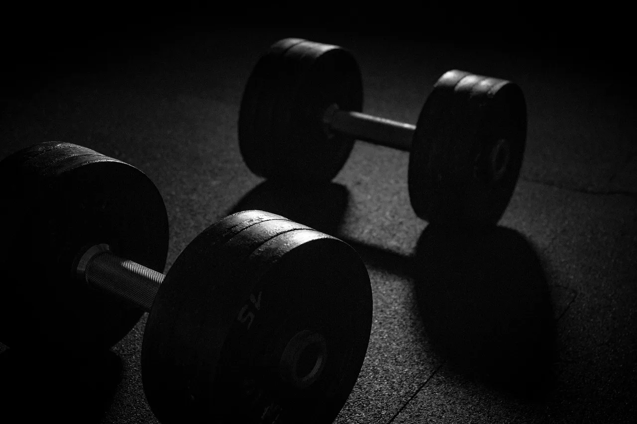 How does creatine work in muscle?: dumbbell, sports, weights, weight training, weight lifting, muscles, muscle training, work out, weight plates, training,