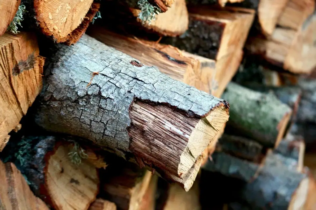 Efficacy evidence: wood, firewood, winter, logs, in evidence, autumn, nature, forest, heat, fire, timber, brown
