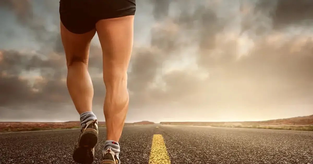 jogging, run, sport, jog, sporty, race, movement, sneakers, away, shoes, running shoes, jogging shoes, endurance, condition, leisure, training, health, fit, fitness, legs, marathon, cardio, man legs, landscape, road, ath