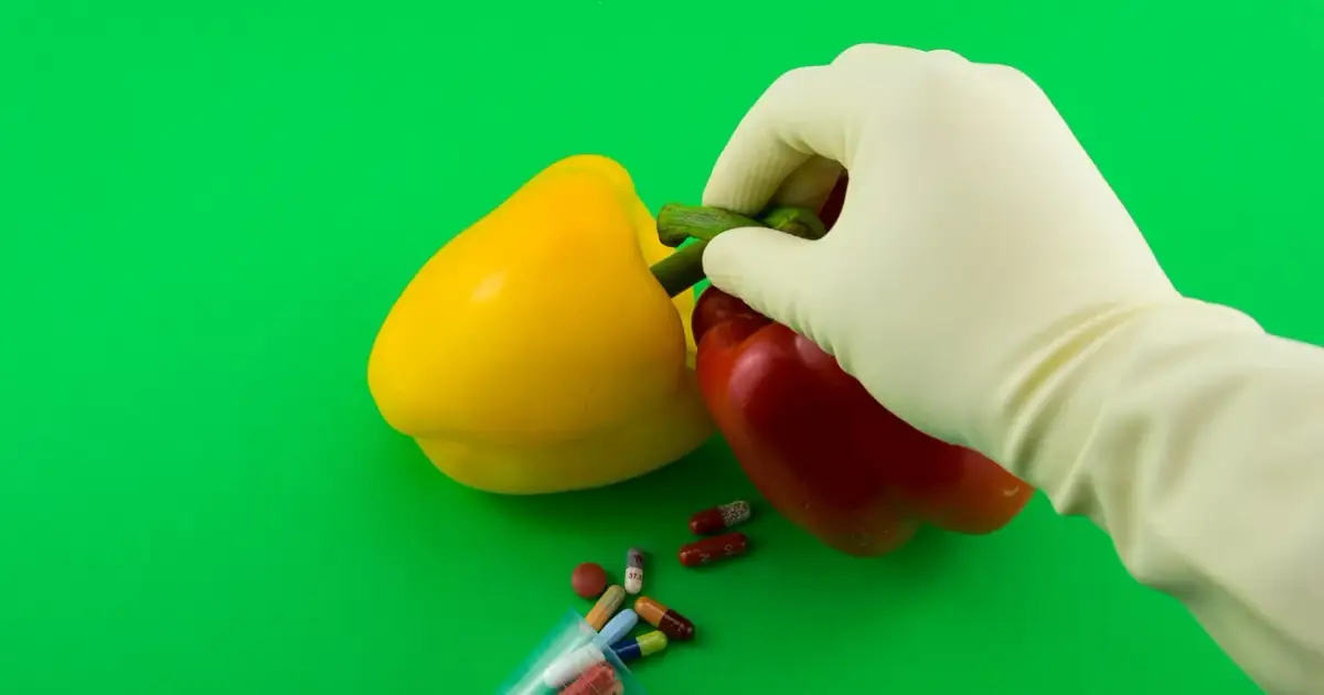 paprika, science, health, chemistry, laboratory, capsule, pill, medicinal products, active ingredient, supplement, industry, food, modified, genetics, experiment, green, yellow, red, multicoloured, coloured, colorful, co