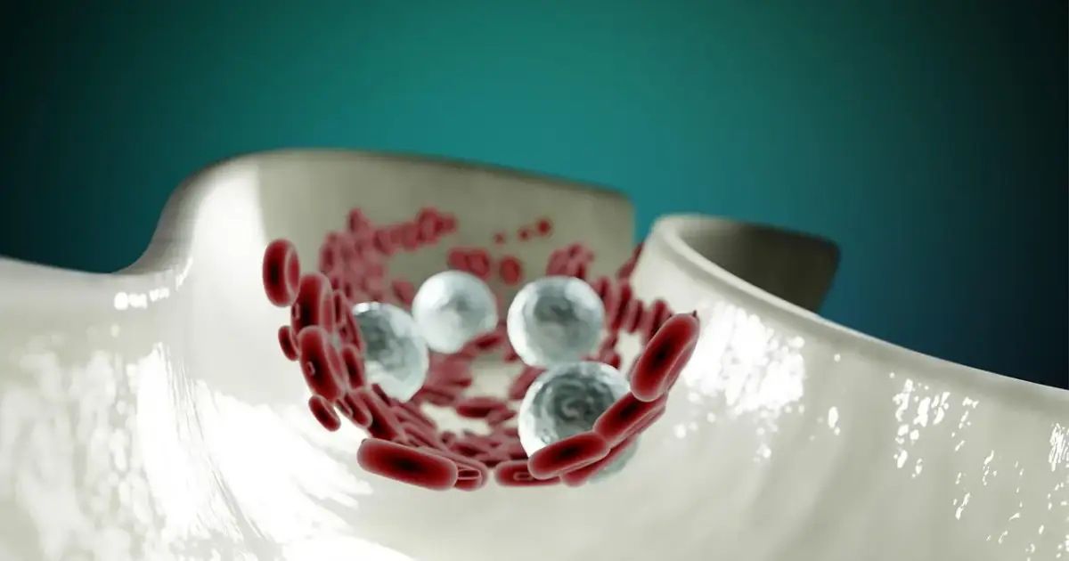 blood cells, anatomy, healthcare, circulatory system, circulation, artery, cardiovascular, science, rbc, wbc