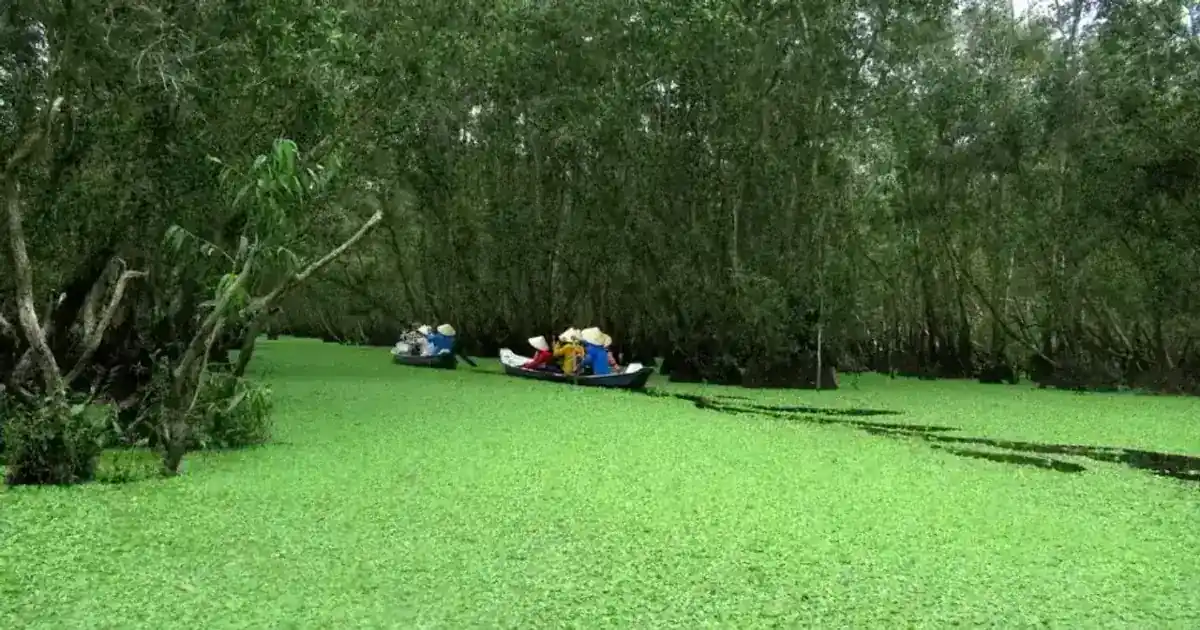 vietnam, between on forest, reserves of between about