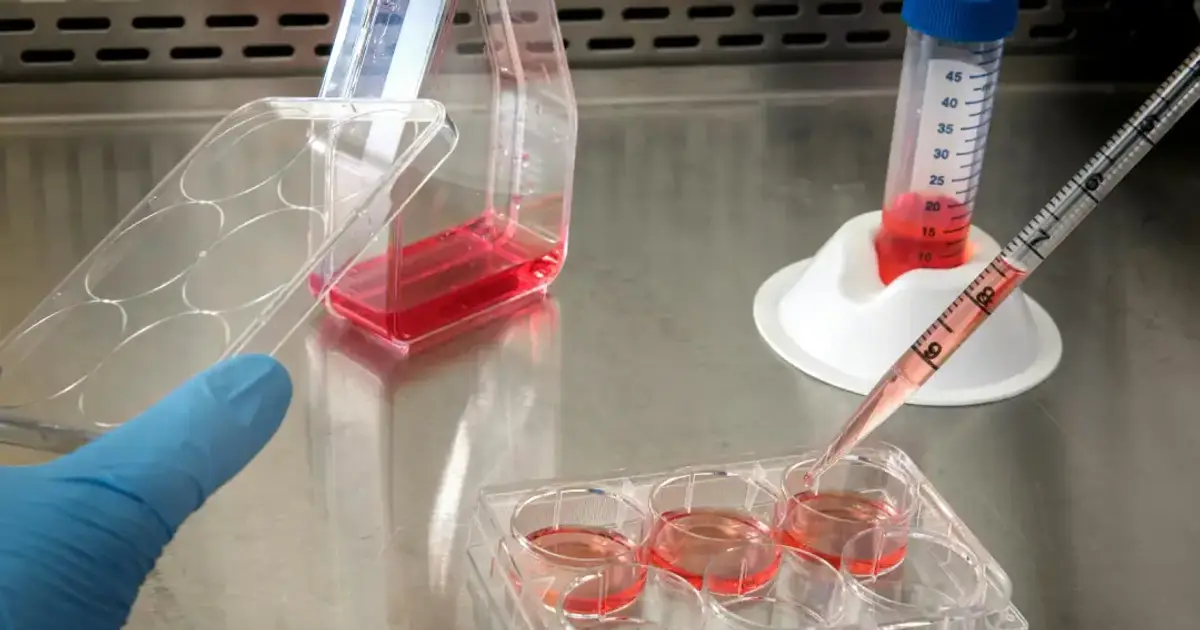 Gloved hand working with cell culture samples in a lab setting.