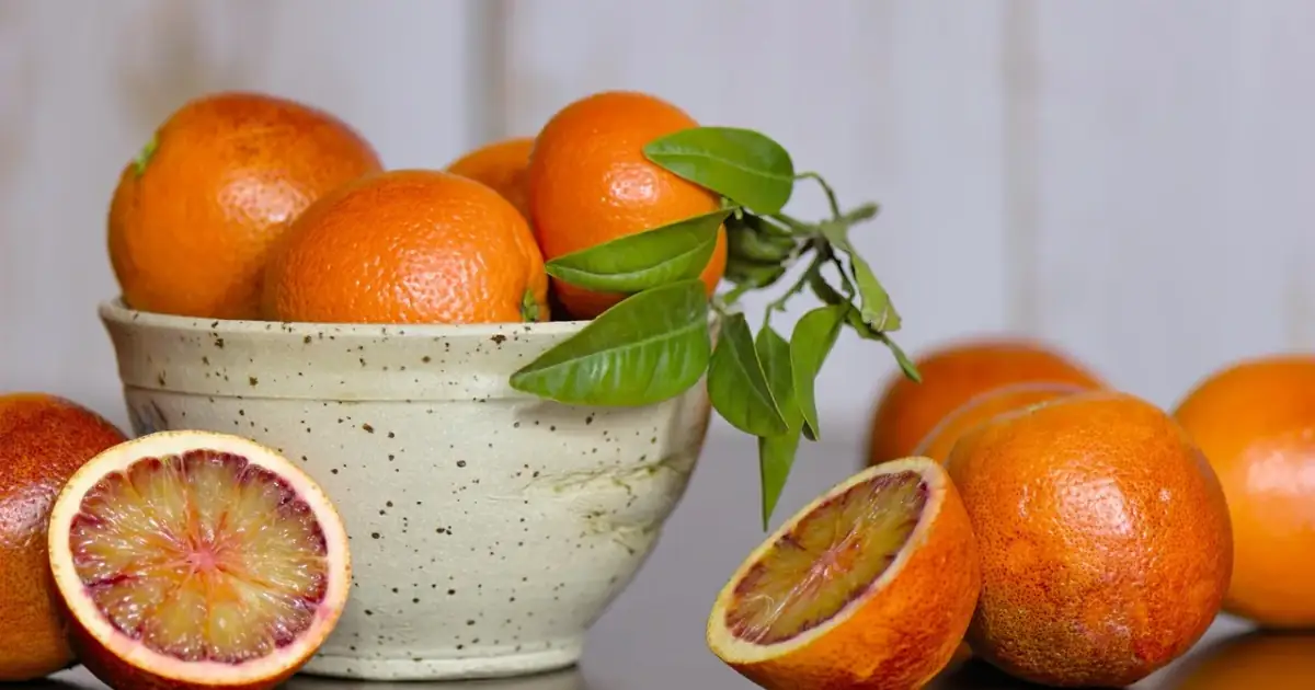 blood oranges, citrus fruits, oranges, fruit, food, vitamin c, healthy, organic, vitamins, meal, blood oranges, blood oranges, vitamin c, vitamin c, vitamin c, vitamin c, vitamin c, vitamins, meal