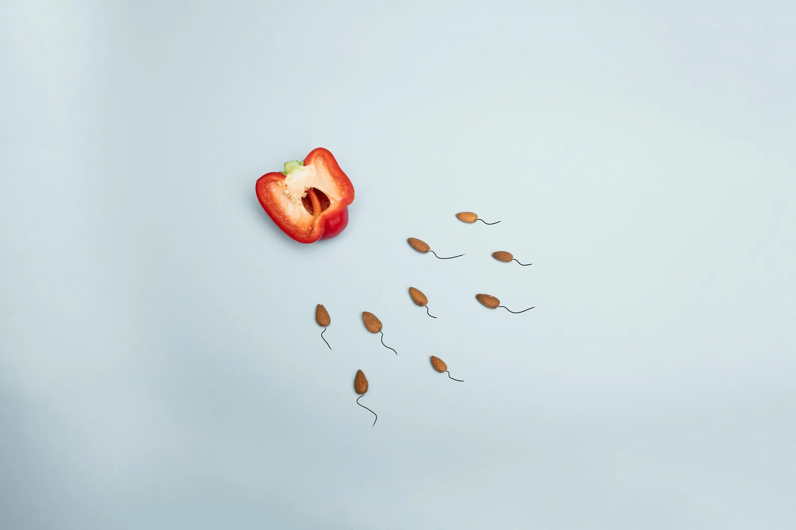 TRT and fertility: Artistic representation of fertility using a red pepper and almond seeds on a neutral background.