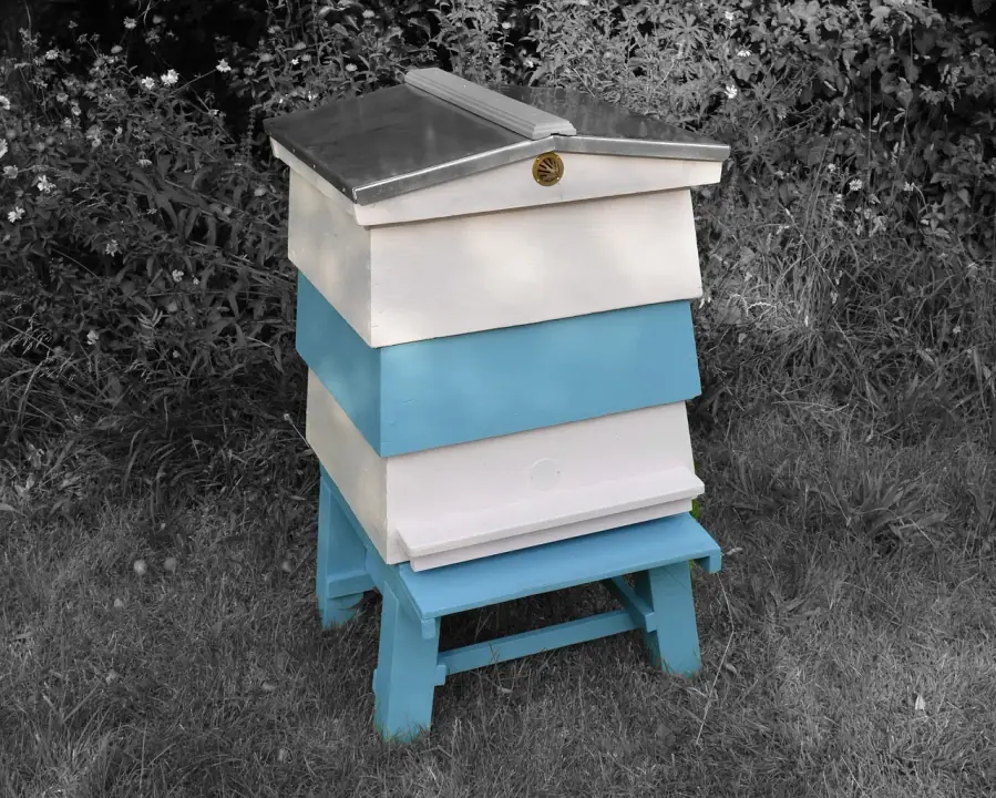 Quadrant 1: high MCV + low WBC: beehive, wbc, hive, beehive, wbc, wbc, wbc, wbc, wbc, hive, hive, hive