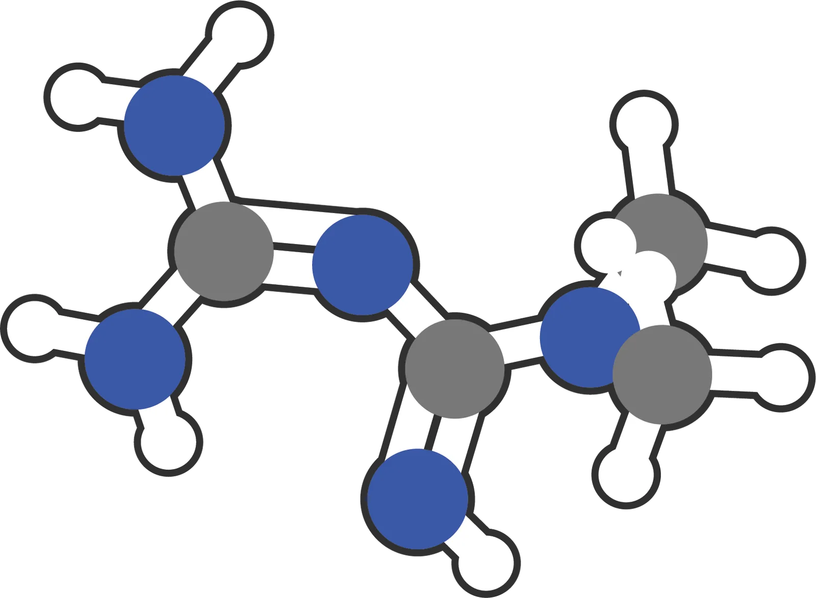 Does metformin extend lifespan?: Diabetes medication metformin