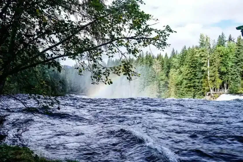 The leucine threshold: current threshold, waterfall, nature, flow, rainbow, stream, tree