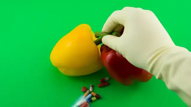 paprika, science, health, chemistry, laboratory, capsule, pill, medicinal products, active ingredient, supplement, industry, food, modified, genetics, experiment, green, yellow, red, multicoloured, coloured, colorful, co