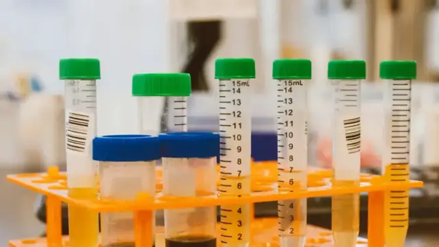 Close-up of colorful test tubes in a laboratory setting, representing scientific experimentation.