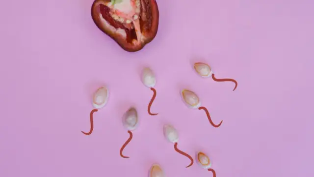 Artistic representation of fertility with seeds resembling sperm and a red pepper on pink background.