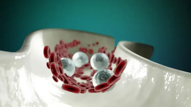 blood cells, anatomy, healthcare, circulatory system, circulation, artery, cardiovascular, science, rbc, wbc