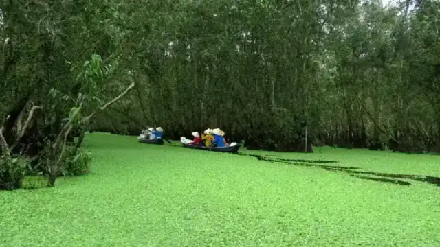 vietnam, between on forest, reserves of between about