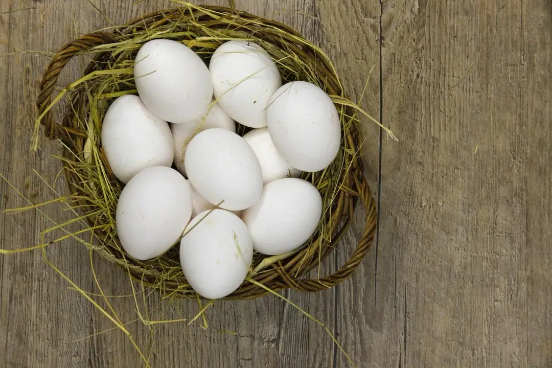 How many steps per day for longevity?: eggs, answer questions per day, basket, food, nourishment, meal, easter, easter festival